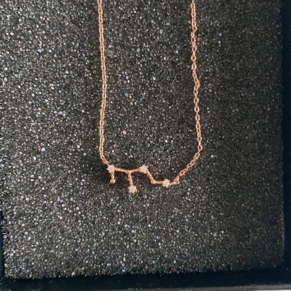 PAVOI - NIB Virgo necklace